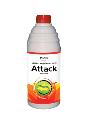 attack