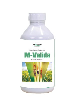 m-Valida