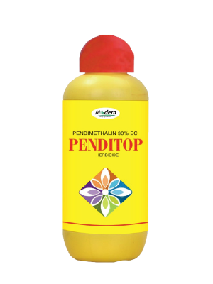 penditop