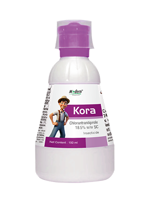 kora