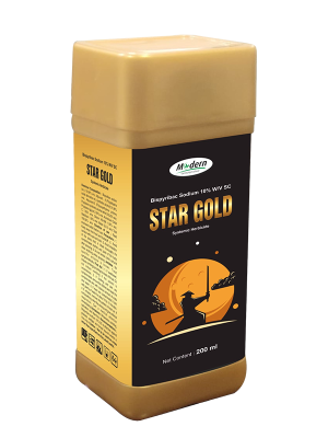 Star Gold